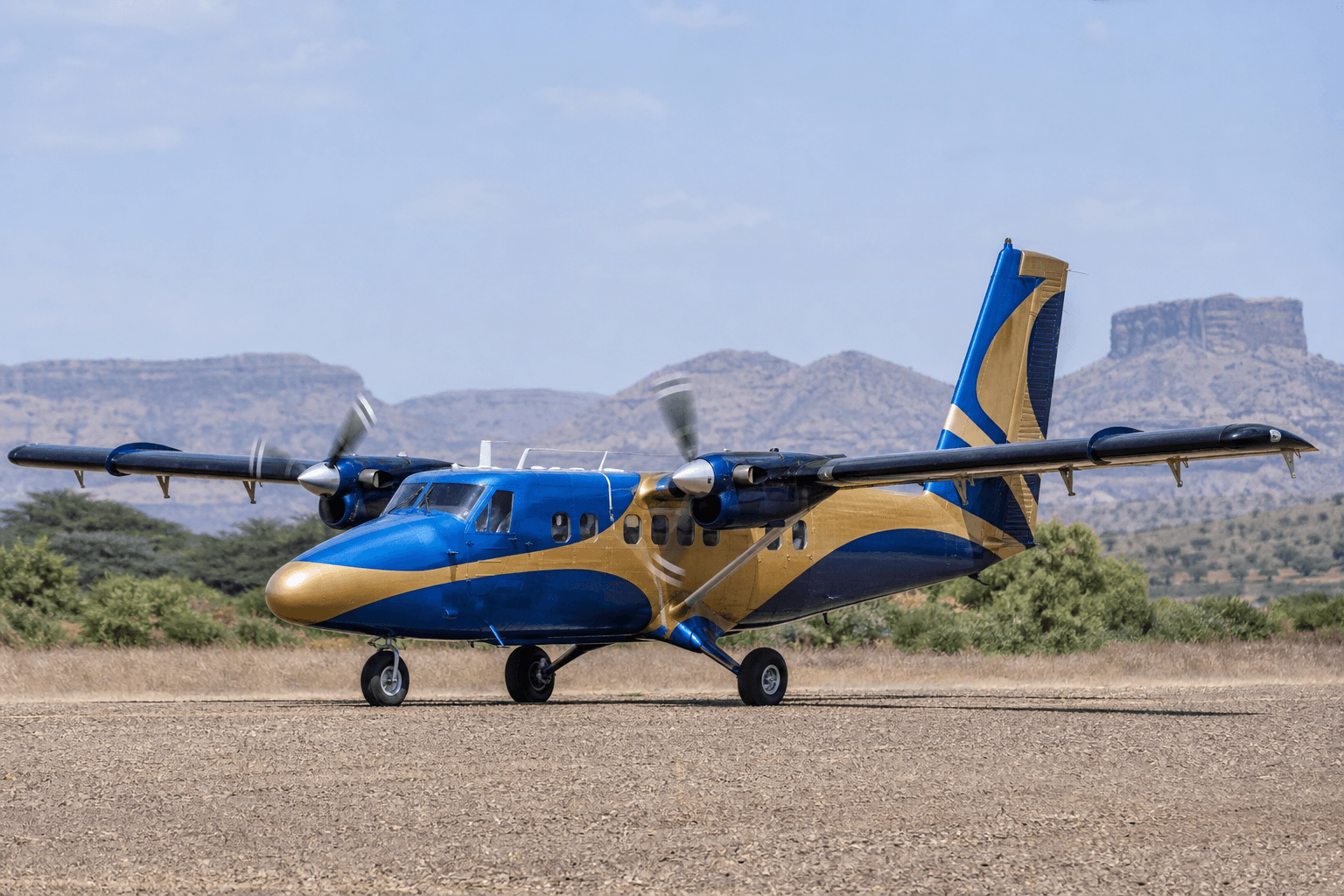 Why Is Ethiopian Airlines Buying Twin Otters?