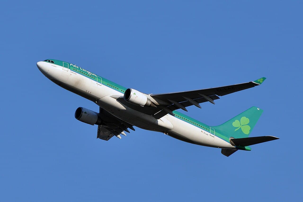 Aer Lingus Will Slash 500 Jobs and Axe Routes as it Struggles to Gain Investment From Parent Company