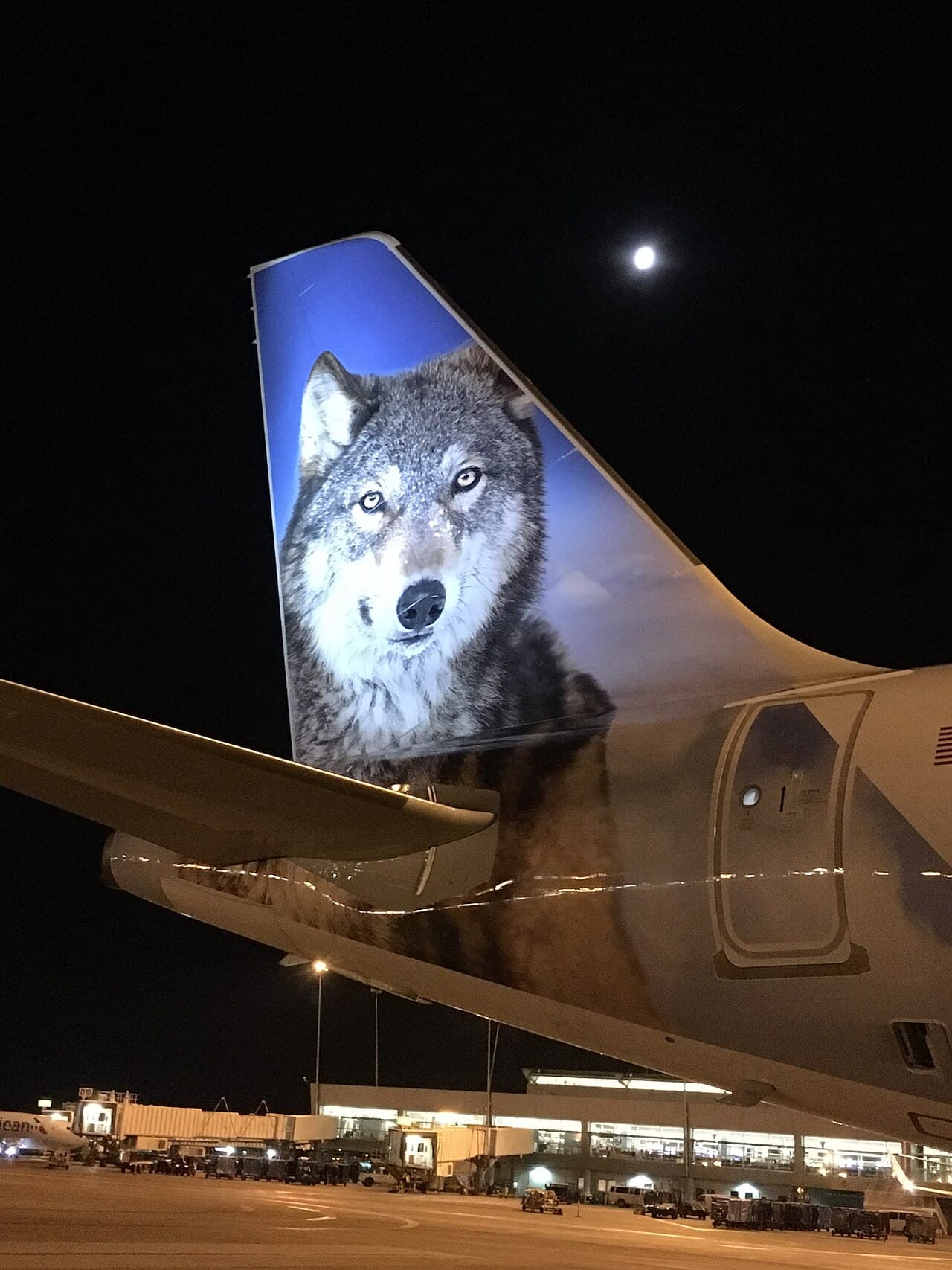 A Frontier Airlines aircraft taxiing at an airport on a clear day